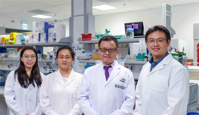 A research team, led by Professor Lin Xiang (first right) and Professor Shen Jiangang (second right), has discovered that combining the active ingredient of the Chinese medicine Astragalus membranaceus (huang qi) with the conventional medication, methotrexate (MTX), can effectively reduce chronic inflammation in autoimmune diseases, providing a new solution to address the drug resistance and side effects caused by long-term medication.